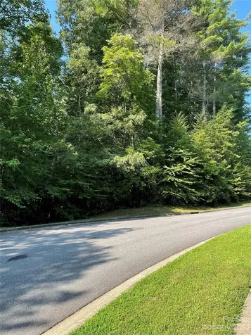 V48&49 Camptown Road Brevard NC 28712
