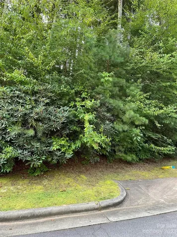 V48&49 Camptown Road Brevard NC 28712