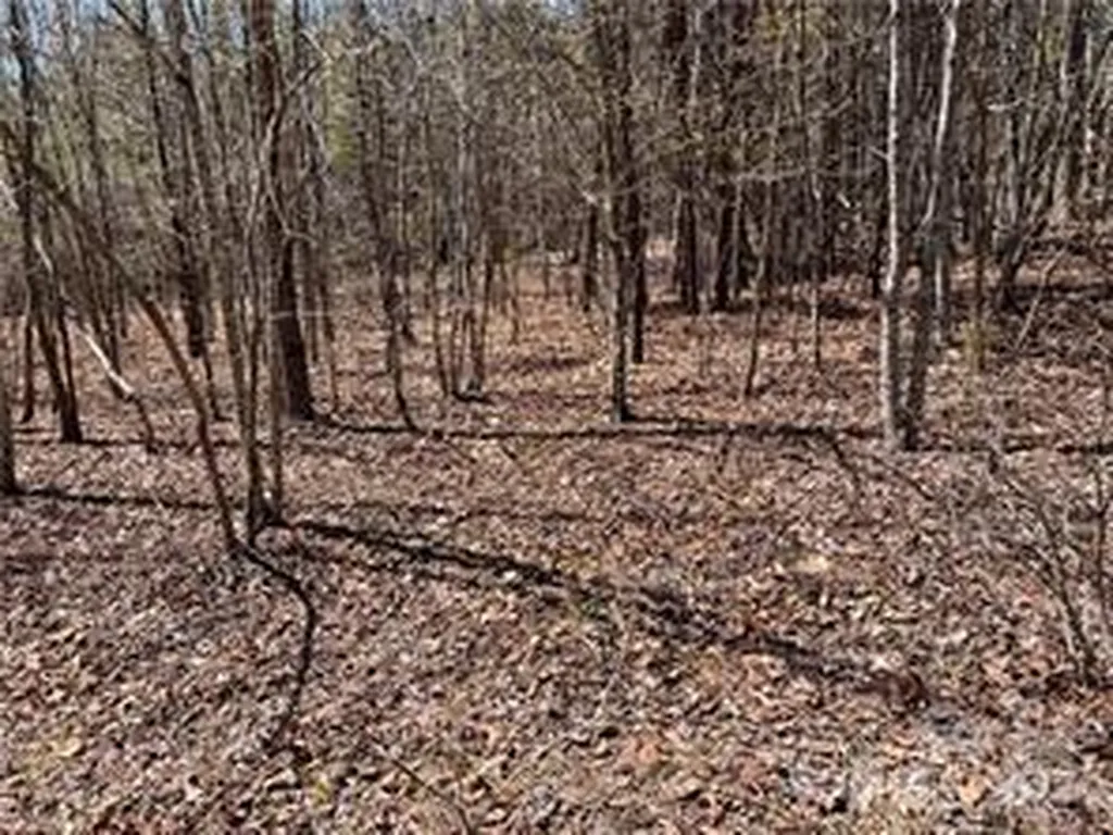 0000 Elliot Lane Rutherfordton NC 28139