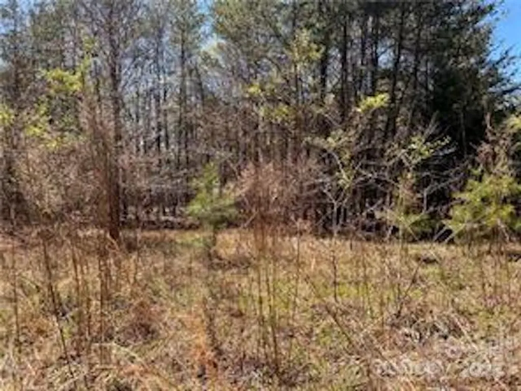 0000 Elliot Lane Rutherfordton NC 28139
