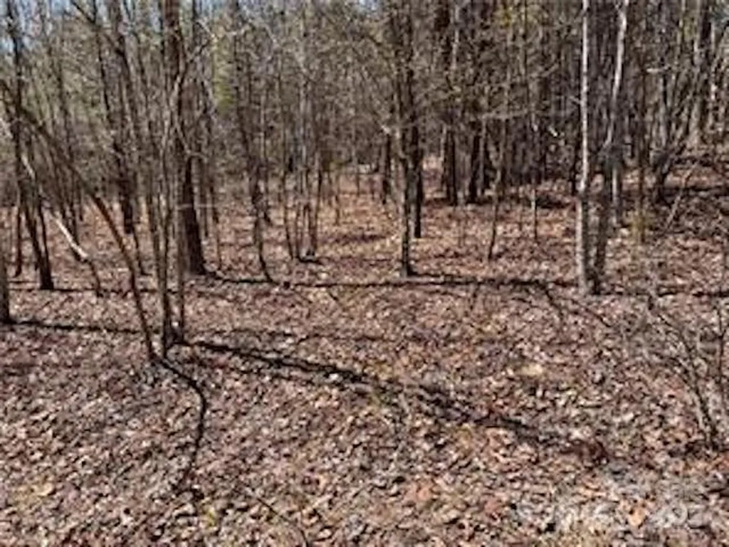 0000 Elliot Lane Rutherfordton NC 28139