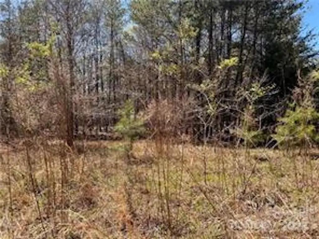 0000 Elliot Lane Rutherfordton NC 28139