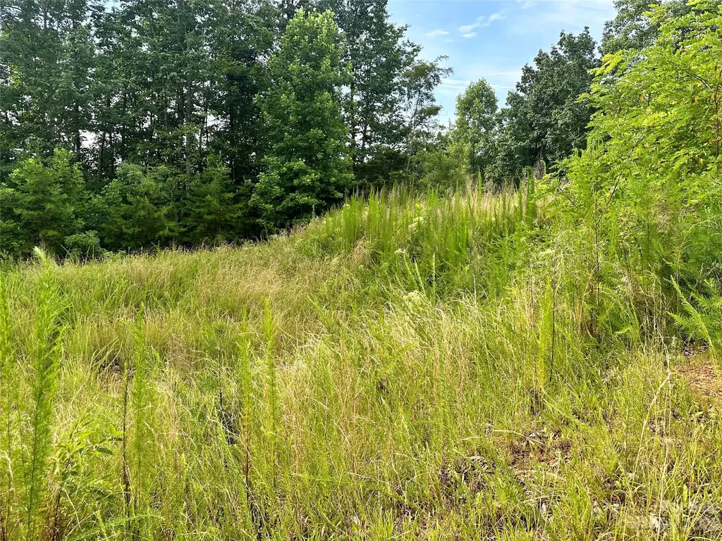643 Woodgate Drive Bostic NC 28018