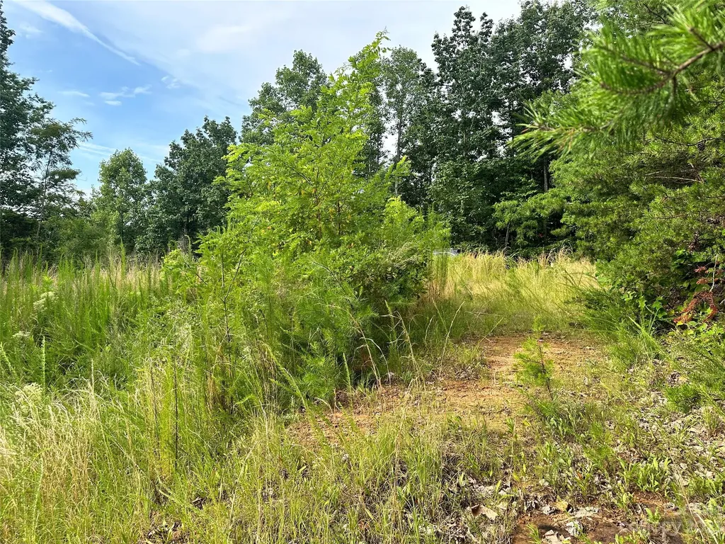 643 Woodgate Drive Bostic NC 28018