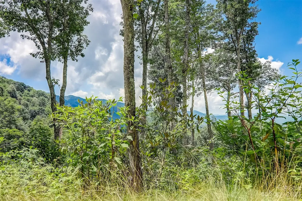 0 Centurian Lane Maggie Valley NC 28751