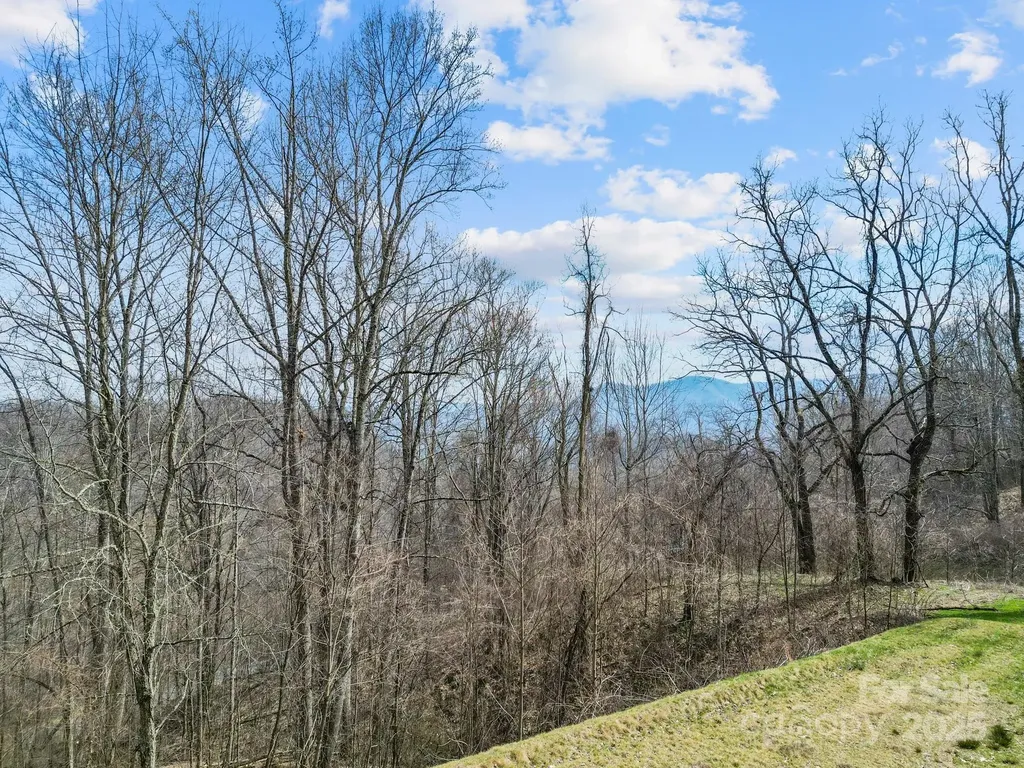 580 Freemont Drive Leicester NC 28748
