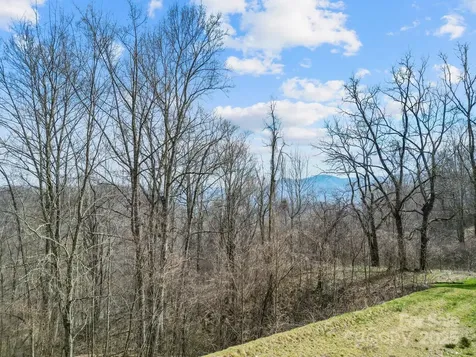 580 Freemont Drive Leicester NC 28748