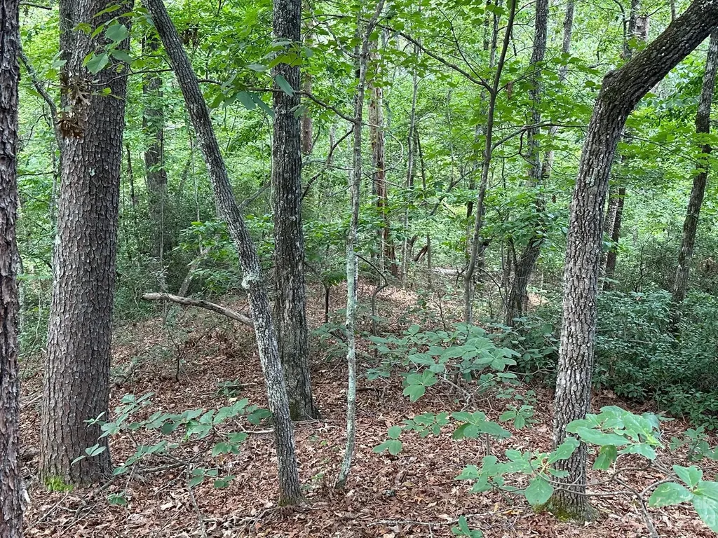 0000 Justice Drive Lake Lure NC 28746