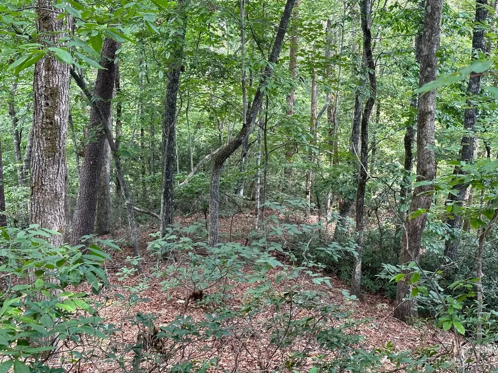 0000 Justice Drive Lake Lure NC 28746