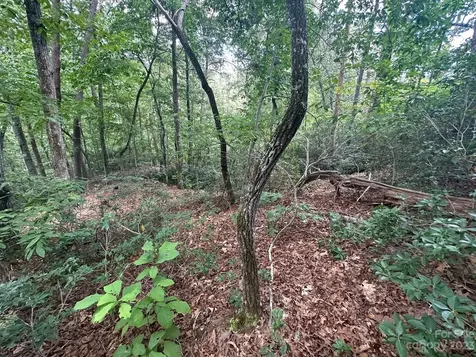 0000 Justice Drive Lake Lure NC 28746