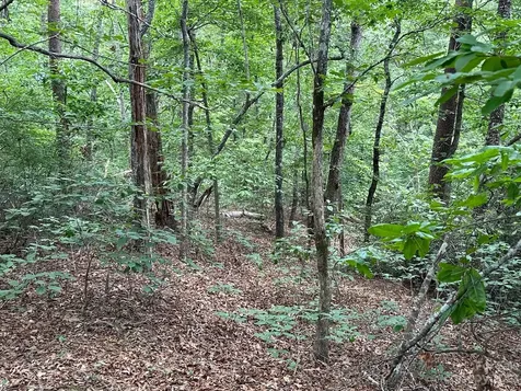 0000 Justice Drive Lake Lure NC 28746