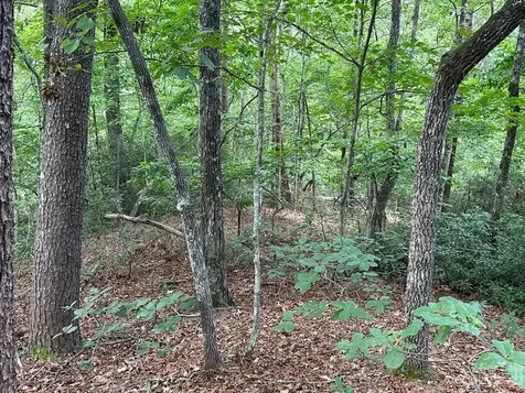 0000 Justice Drive Lake Lure NC 28746