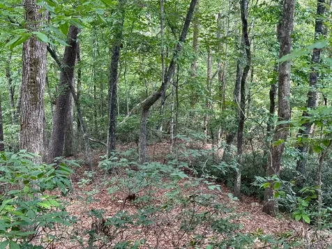 0000 Justice Drive Lake Lure NC 28746