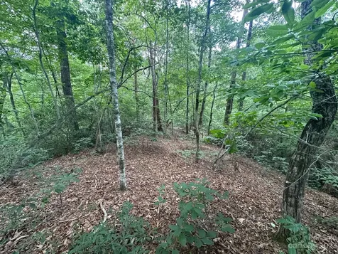 0000 Justice Drive Lake Lure NC 28746