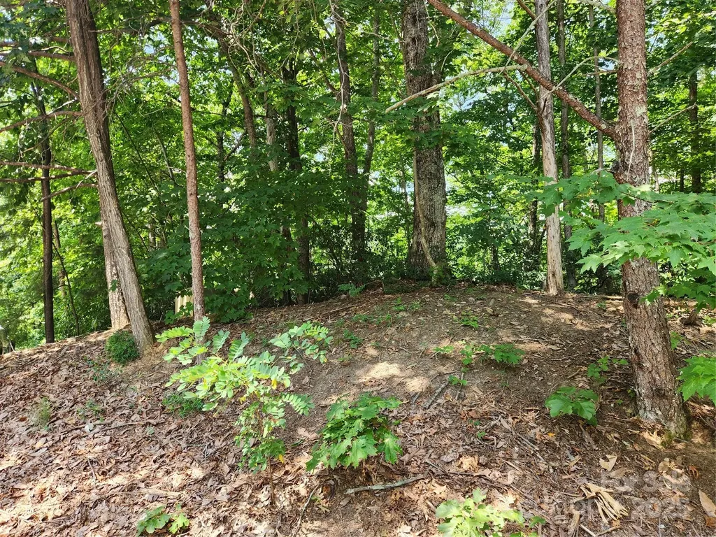 Lot 124, 125, & 101 Banjo Court Lake Lure NC 28746