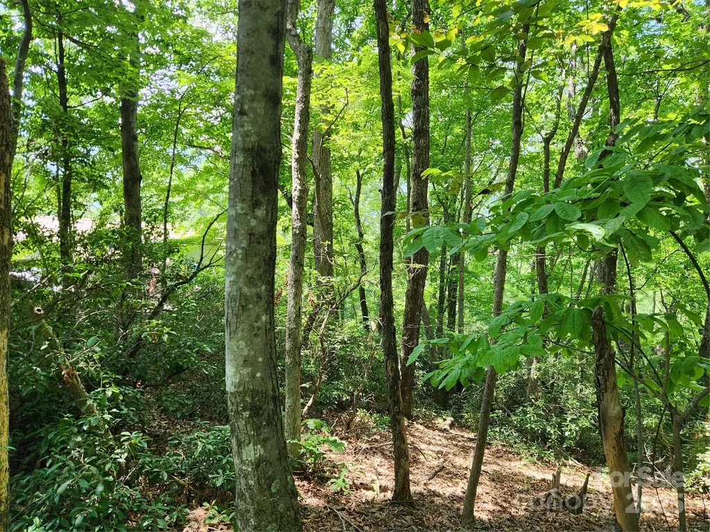 Lot 124, 125, & 101 Banjo Court Lake Lure NC 28746