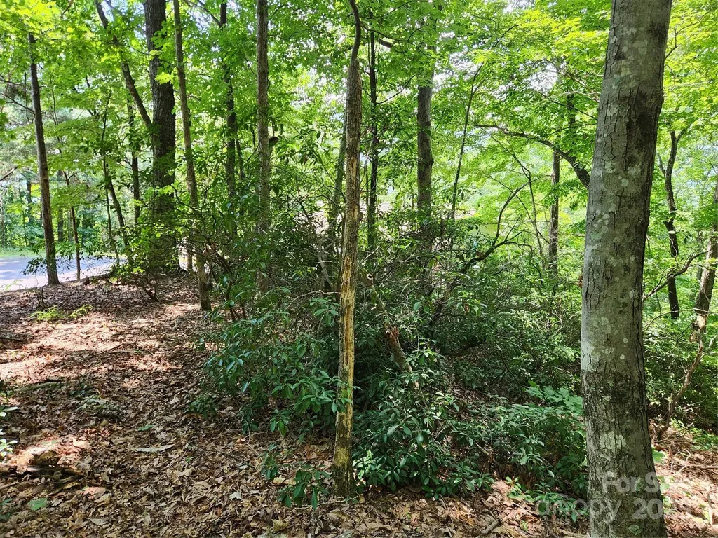 Lot 124, 125, & 101 Banjo Court Lake Lure NC 28746