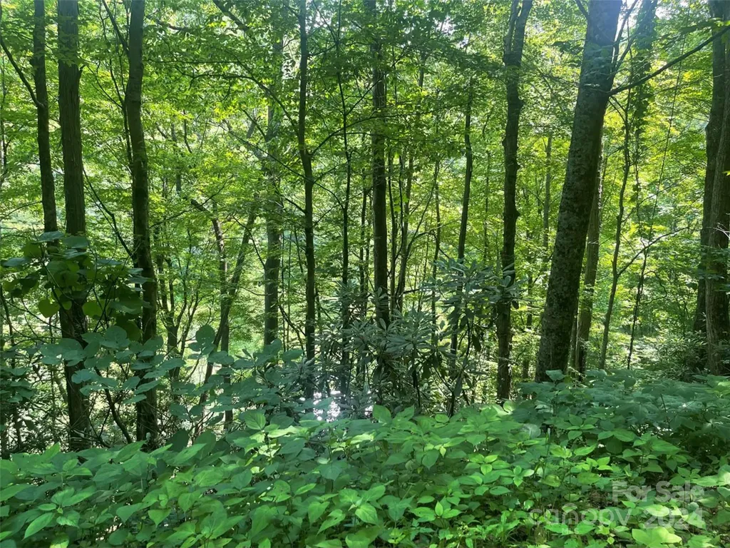 Bakersville NC 28705