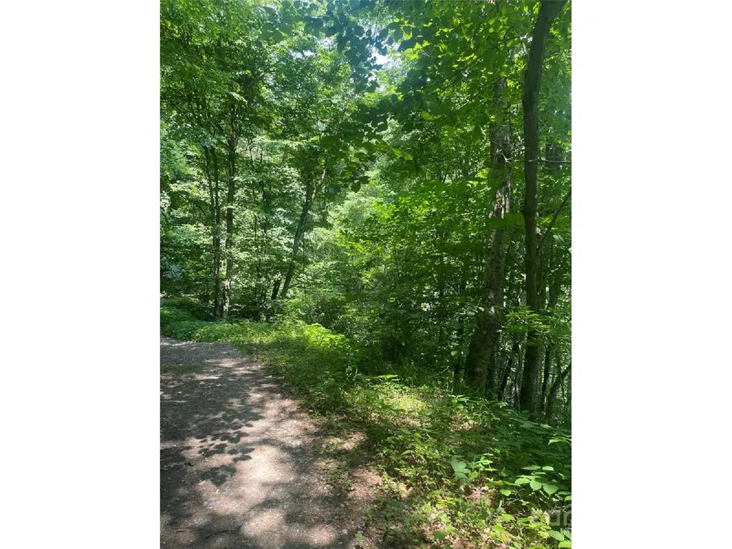 Bakersville NC 28705