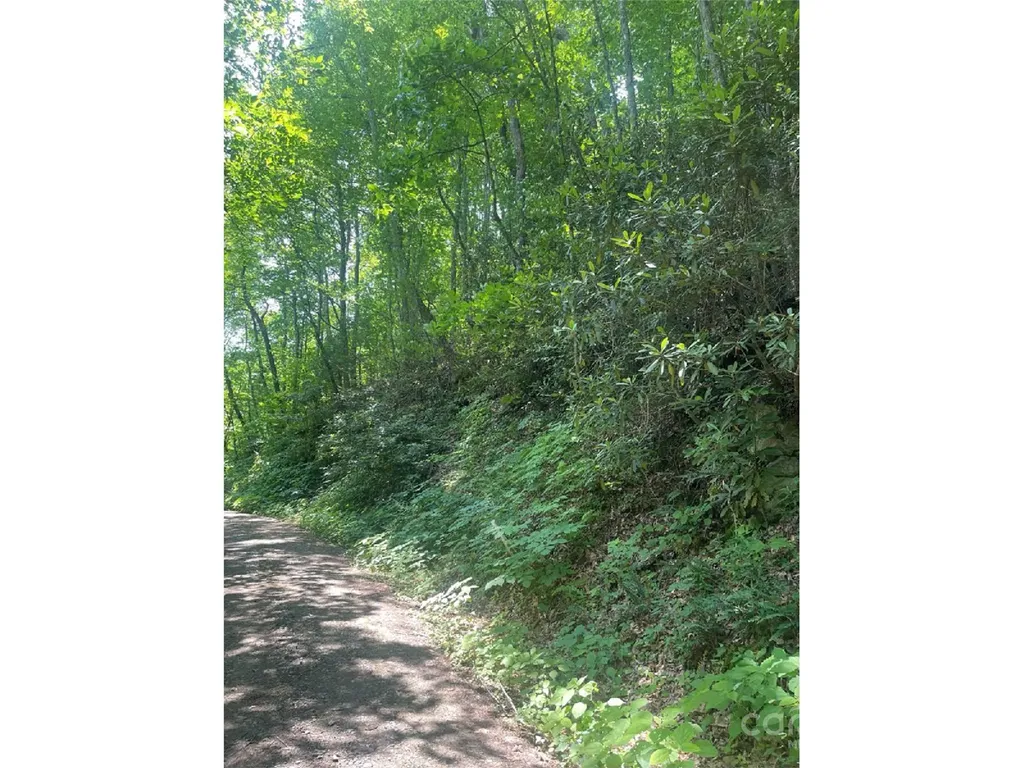 Bakersville NC 28705