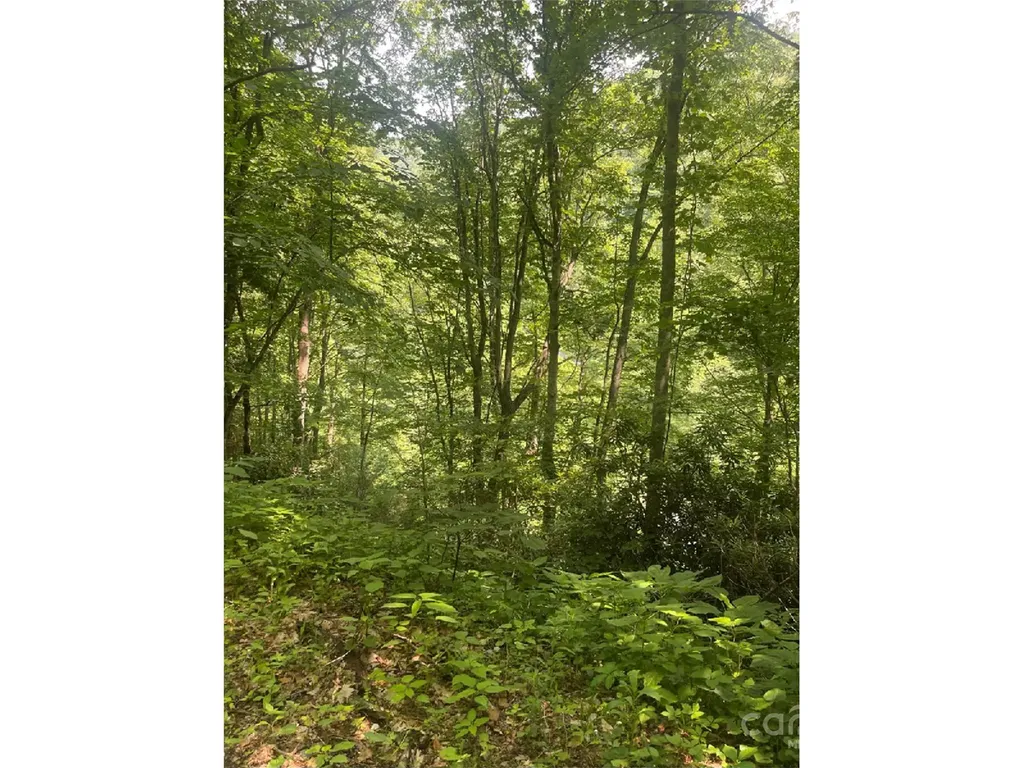 Bakersville NC 28705