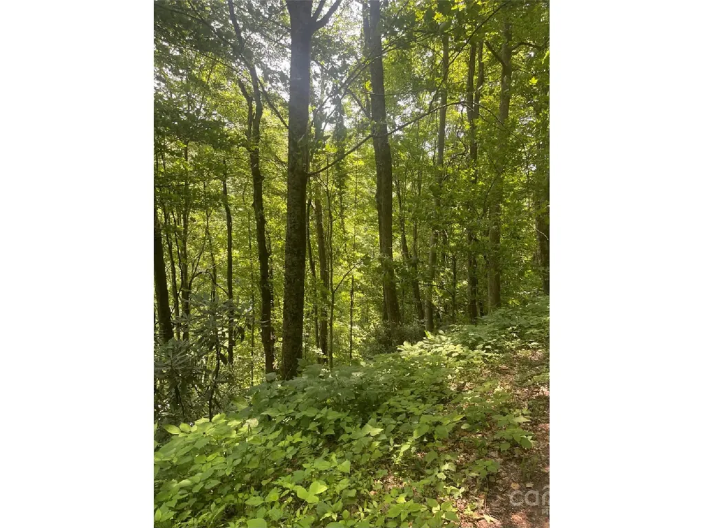 Bakersville NC 28705