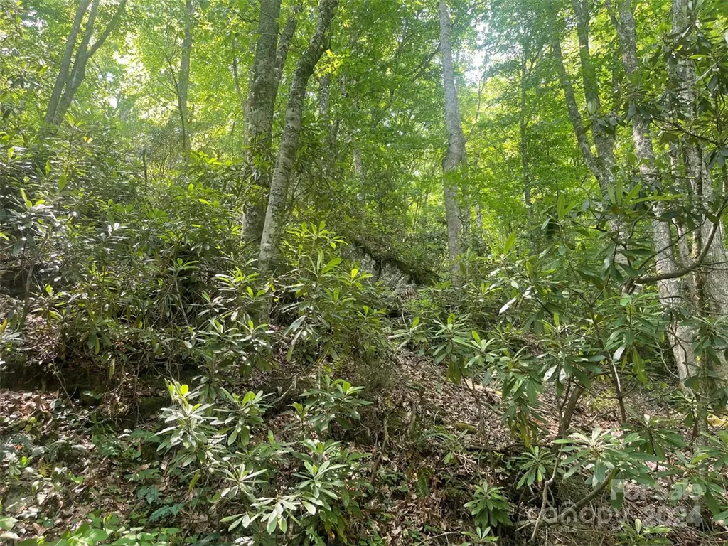 Bakersville NC 28705