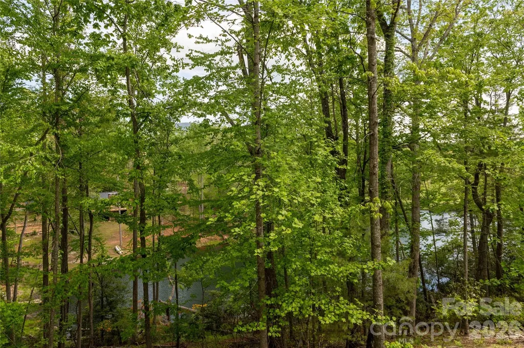 00 Deer Park Lake Road Spruce Pine NC 28777