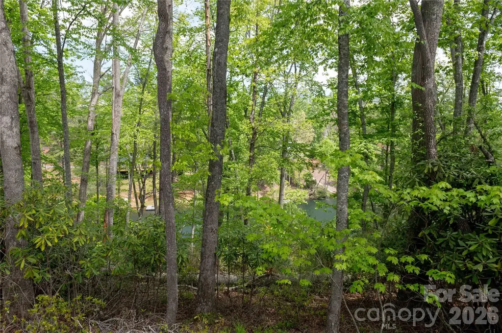 00 Deer Park Lake Road Spruce Pine NC 28777