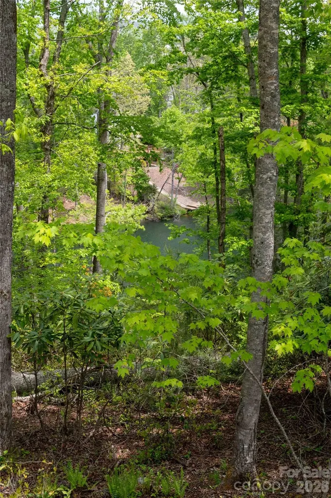 00 Deer Park Lake Road Spruce Pine NC 28777