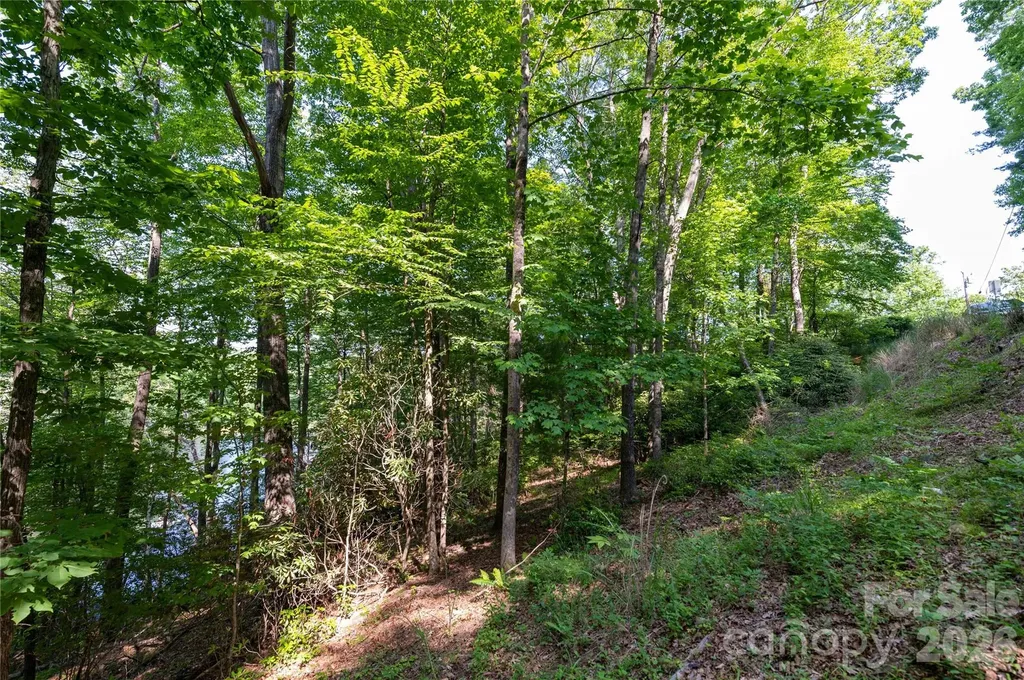 00 Deer Park Lake Road Spruce Pine NC 28777