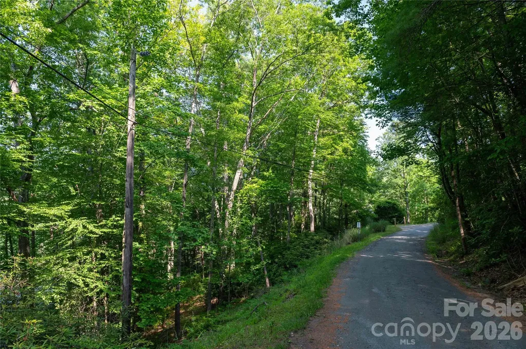 00 Deer Park Lake Road Spruce Pine NC 28777
