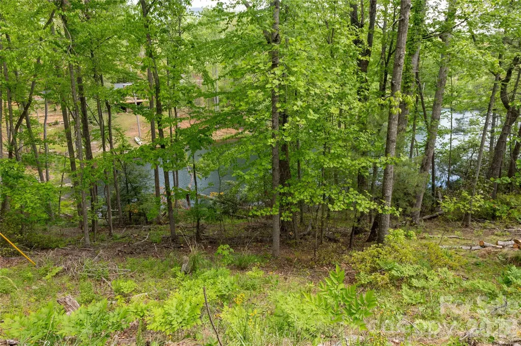 00 Deer Park Lake Road Spruce Pine NC 28777