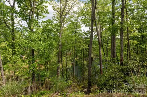 00 Deer Park Lake Road Spruce Pine NC 28777