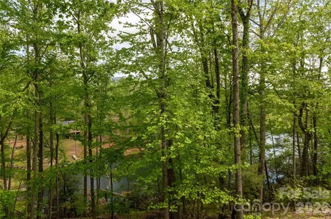 00 Deer Park Lake Road Spruce Pine NC 28777