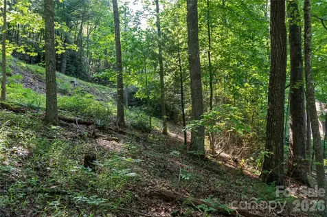 00 Deer Park Lake Road Spruce Pine NC 28777