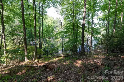 00 Deer Park Lake Road Spruce Pine NC 28777