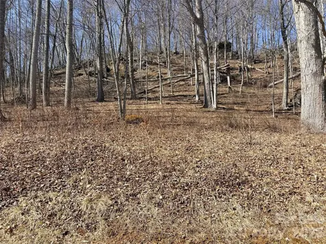 Lot 35 Soothing Waters Drive Todd NC 28684