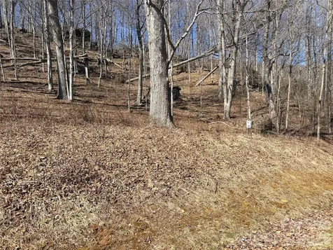Lot 35 Soothing Waters Drive Todd NC 28684