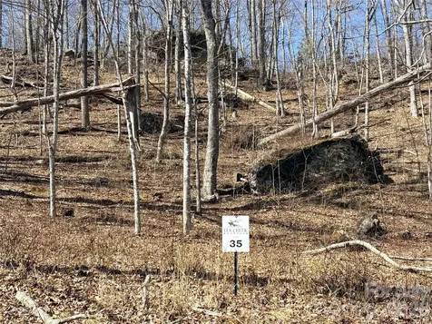 Lot 35 Soothing Waters Drive Todd NC 28684