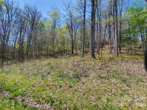 Lot 35 Soothing Waters Drive Todd NC 28684