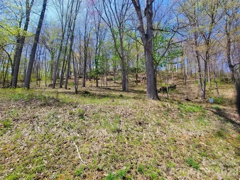 Lot 35 Soothing Waters Drive Todd NC 28684