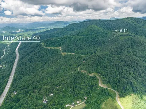 99999 Biltmore View Lane Candler NC 28715