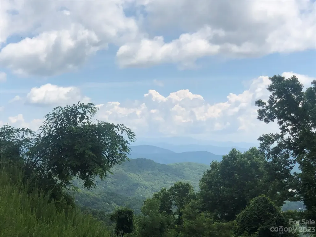 99999 Summit View Drive Candler NC 28715