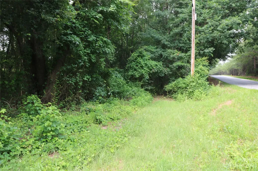 Lot 20 Commercial Drive Forest City NC 28043