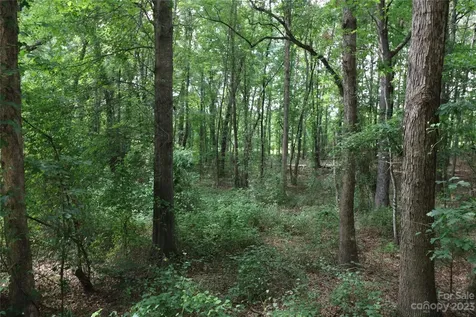 Lot 20 Commercial Drive Forest City NC 28043