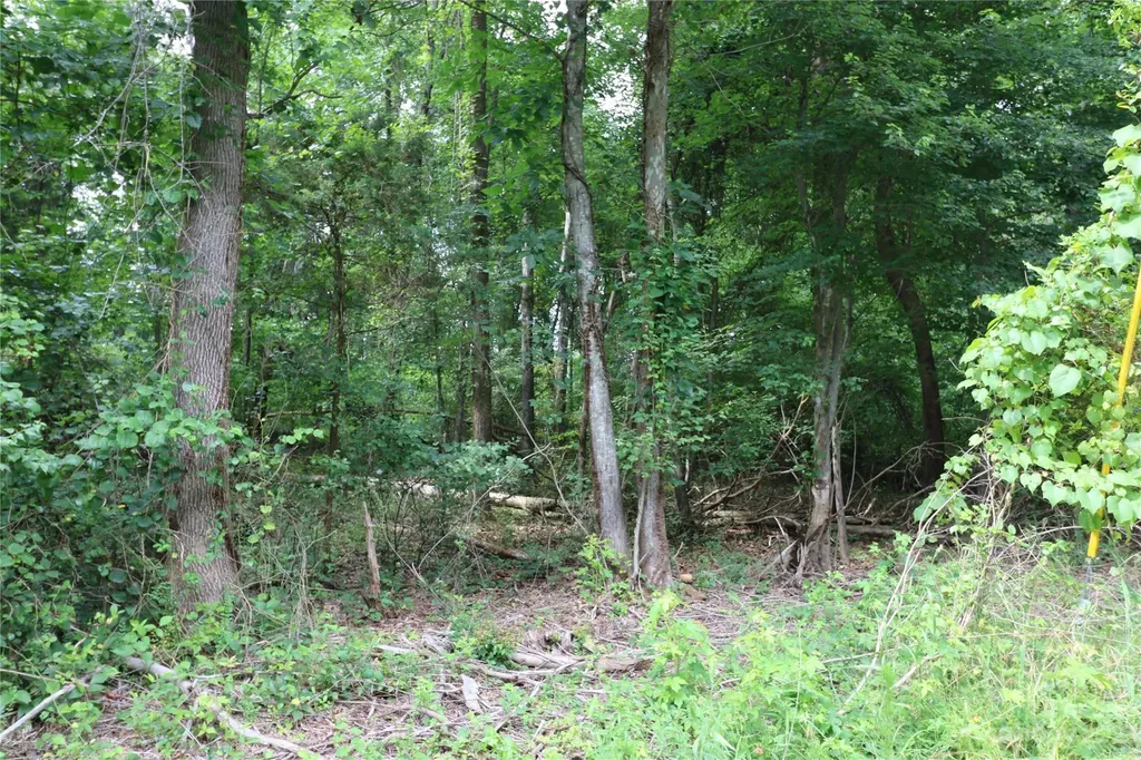 Lot 19 Commercial Drive Forest City NC 28043