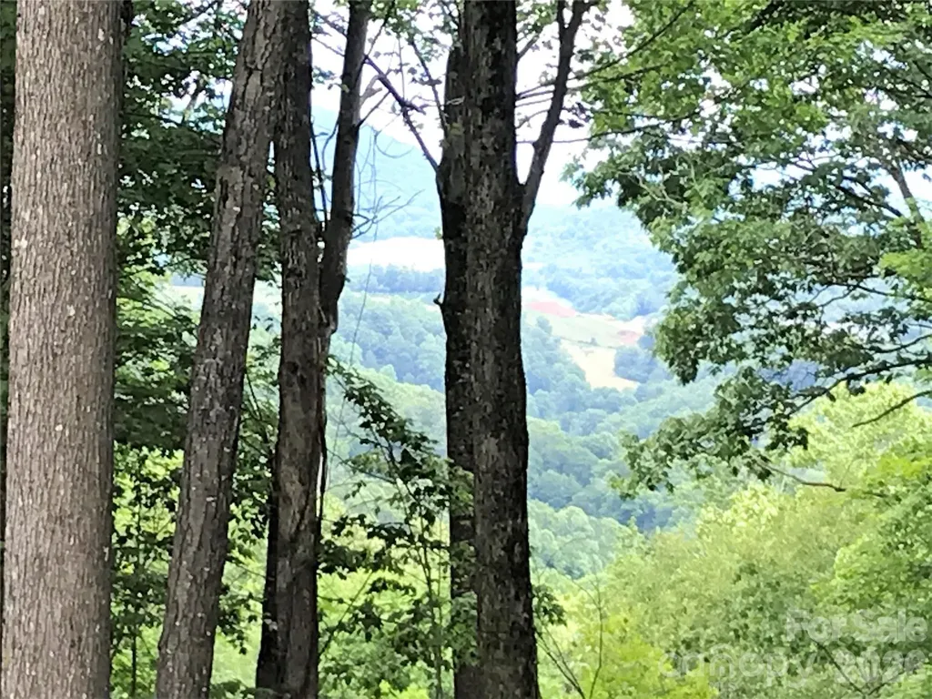 Lot 64 Poplar Forest Drive Boone NC 28607