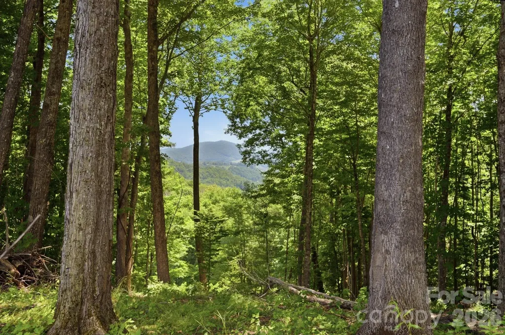 Lot 64 Poplar Forest Drive Boone NC 28607
