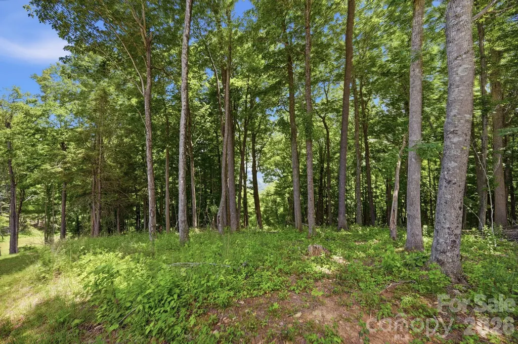 Lot 64 Poplar Forest Drive Boone NC 28607